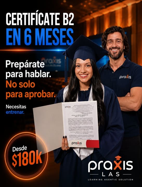 praxis school precios